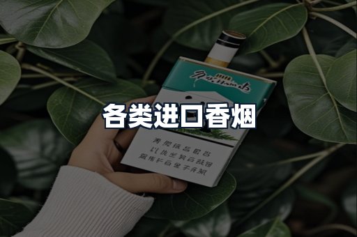 各类进口香烟
